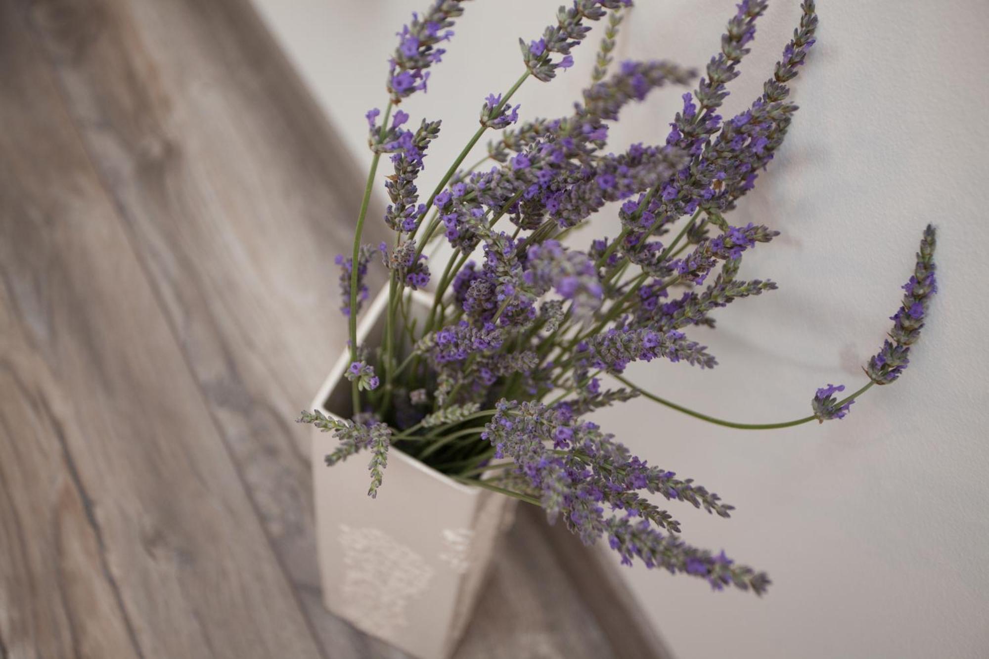Apartments And Rooms Hey روفينج المظهر الخارجي الصورة